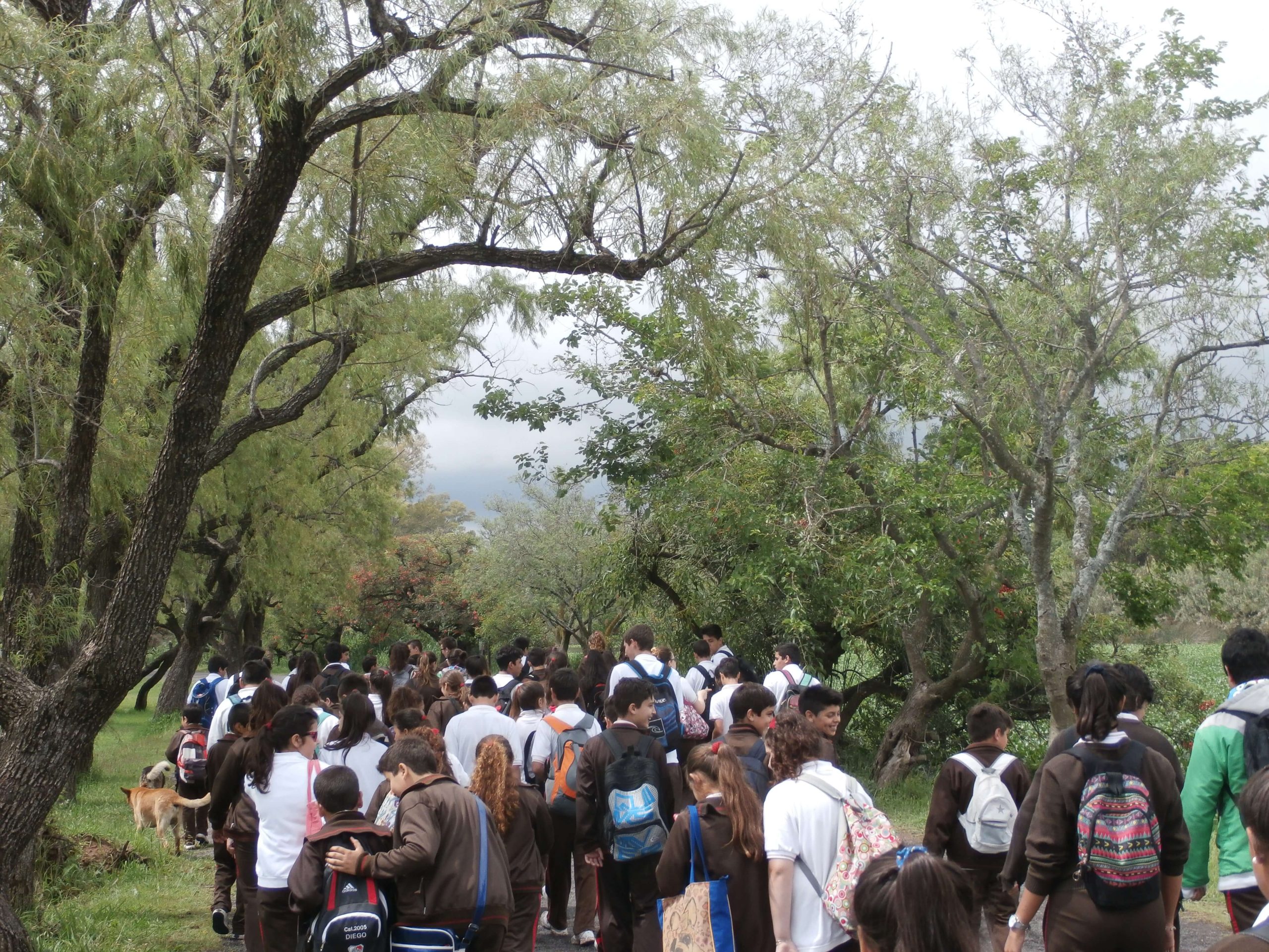 Norma Institucional 3 - Colegio San Martín