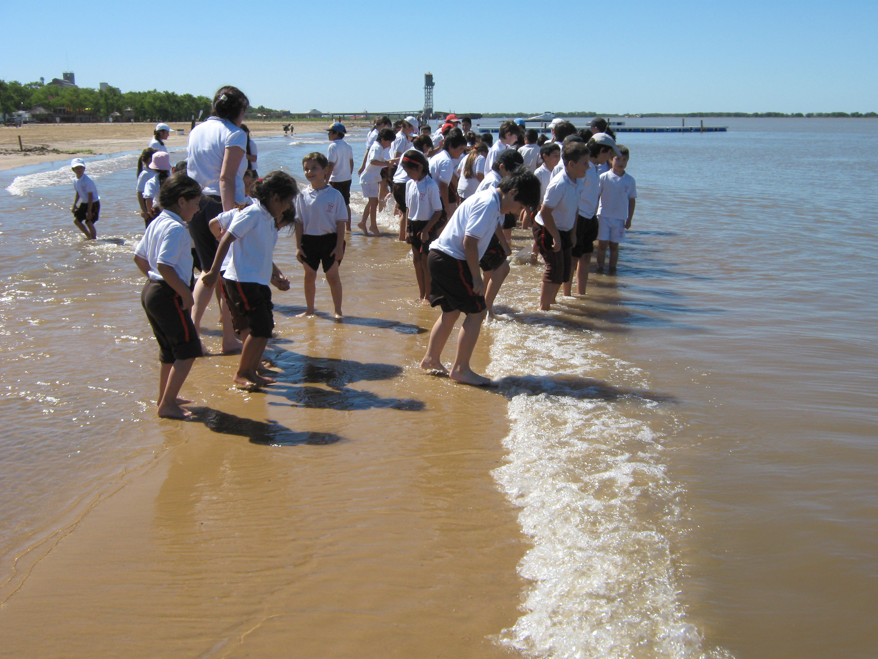Proyecto ambiental educación primaria